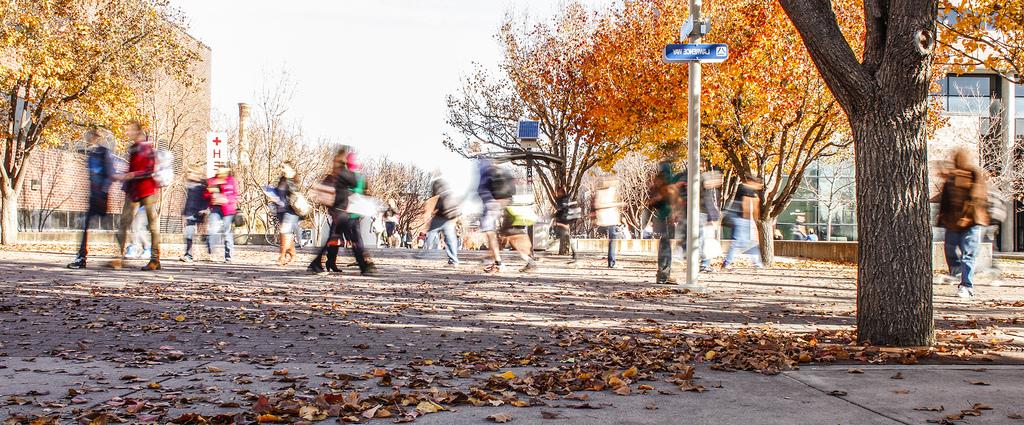 Busy fall campus